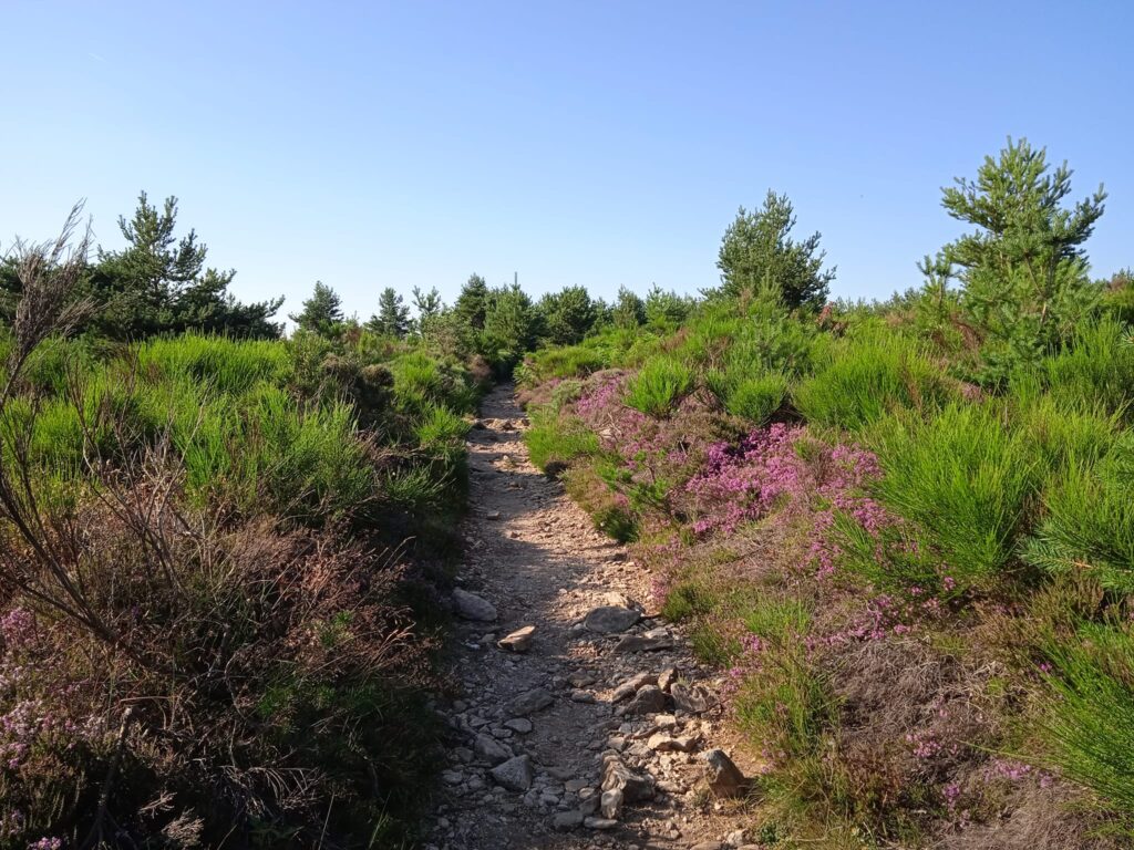 sentier de montagne